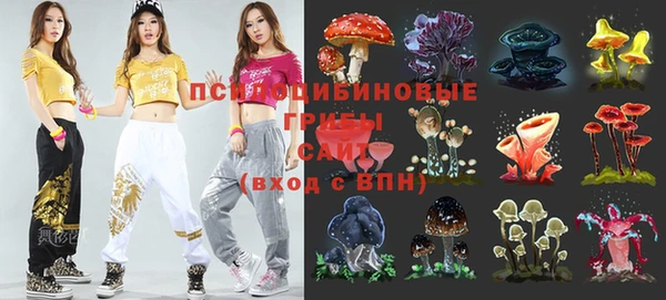 стафф Белокуриха