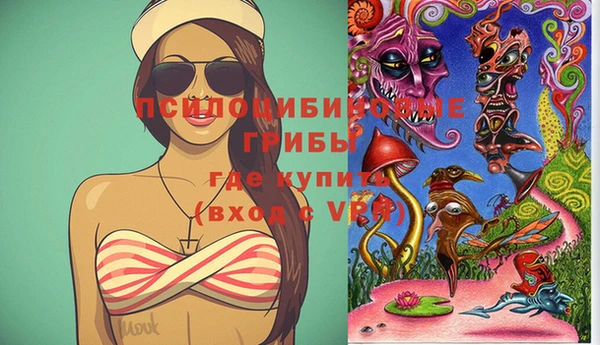 стафф Белокуриха