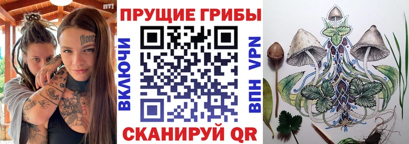 MEGA зеркало  купить закладку  Мезень  Галлюциногенные грибы Psilocybe 